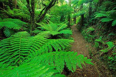 《战地2042》“无邦者之旅”第五部分“菠萝速递”