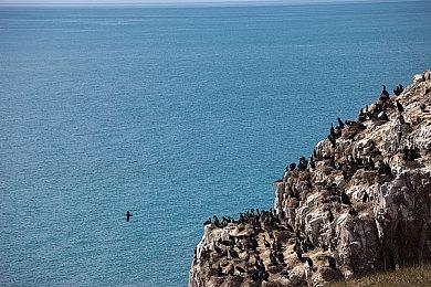 恐怖电影公司Blumhouse发行首作《SLEEP AWAKE》Steam页面上线 发售日待定